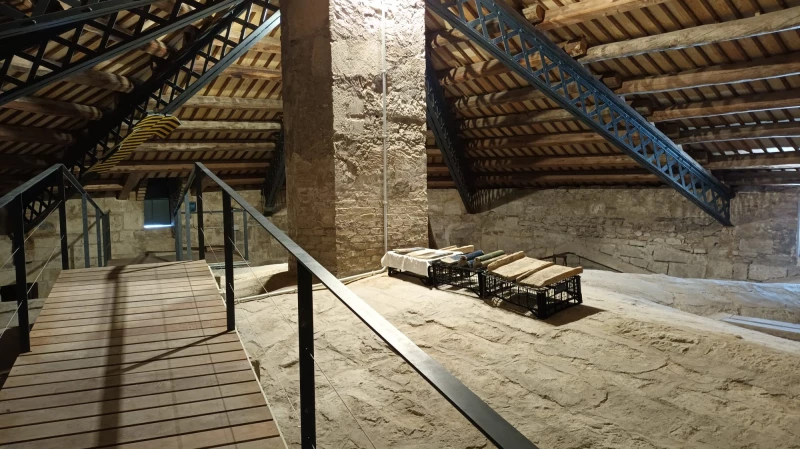 Visita a la Teulada i al Campanar de la Basílica de Santa Maria