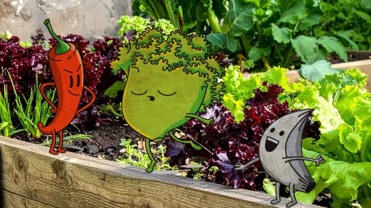 Anem a l'hort per la Festa del Xató