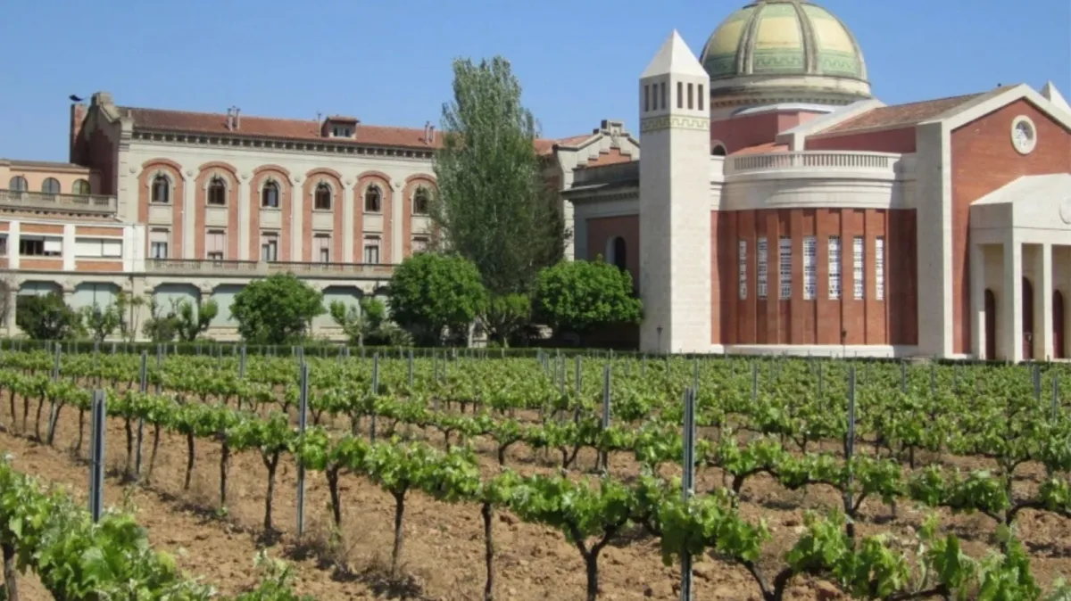 Residència Mare Ràfols i Molí d'en Rovira